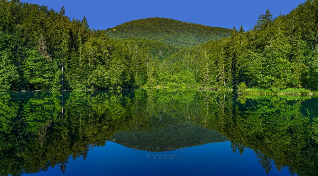 Plitvica River House Плитвица Село Екстериор снимка